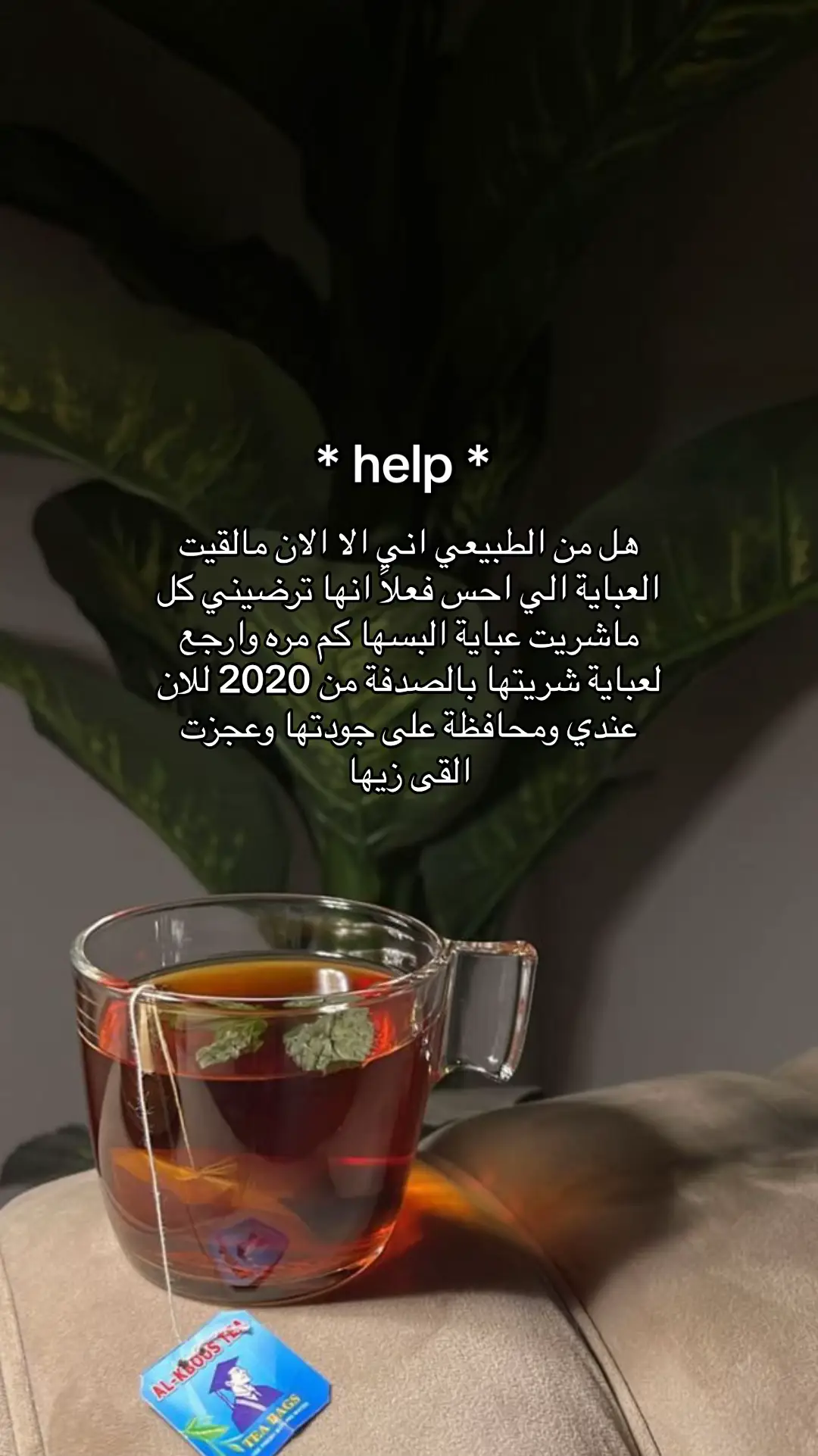 هيلب بنات واذا تعرفون متاجر كويسة اعطونا حساباتهم