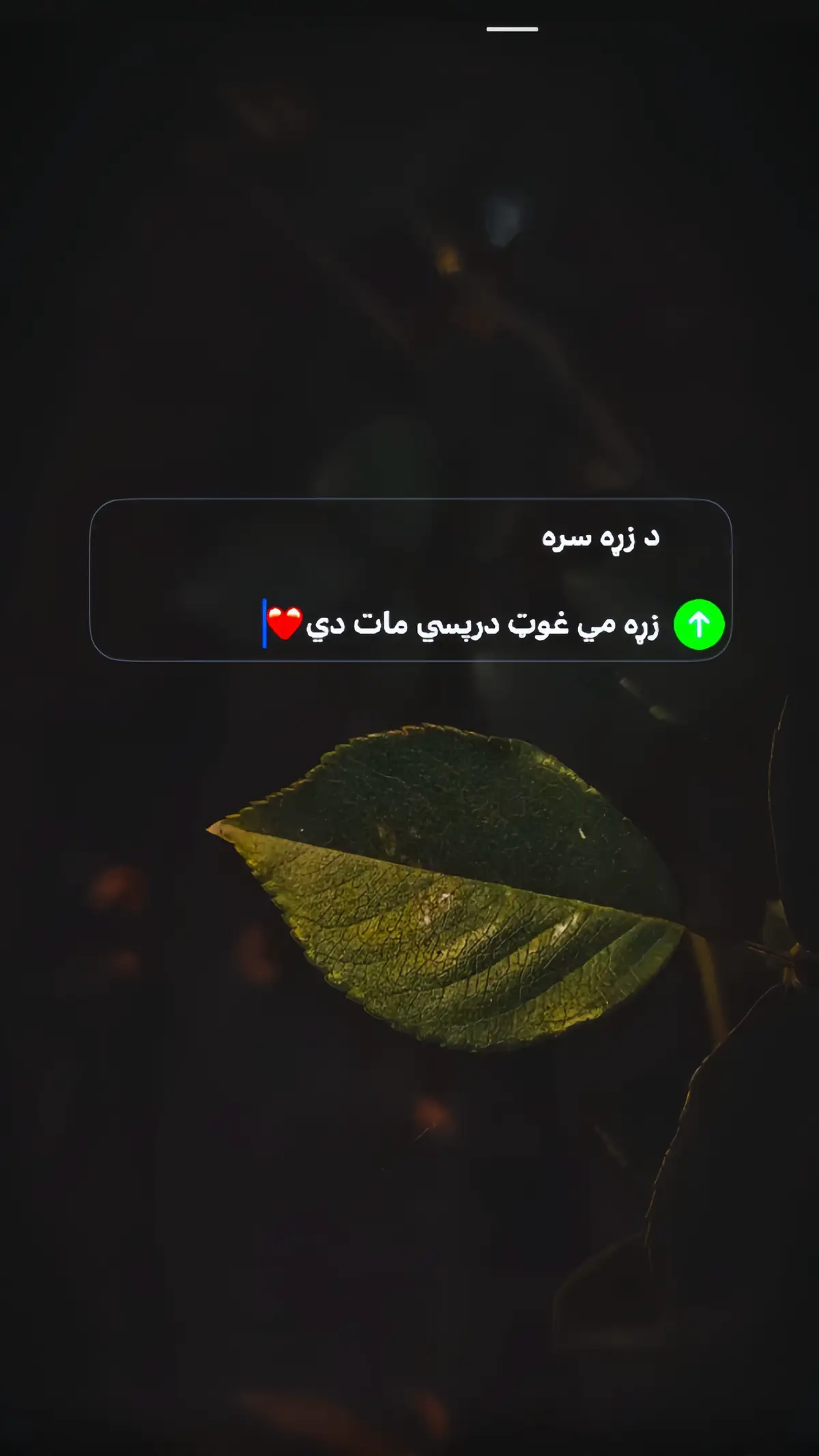 @ミ★حـیاء ریـحان☆彡 #1million #reehan_1 #foryou #for #دخپلي_خوښي_بیتونه_موکمنټ_کړۍ #reehan_1 