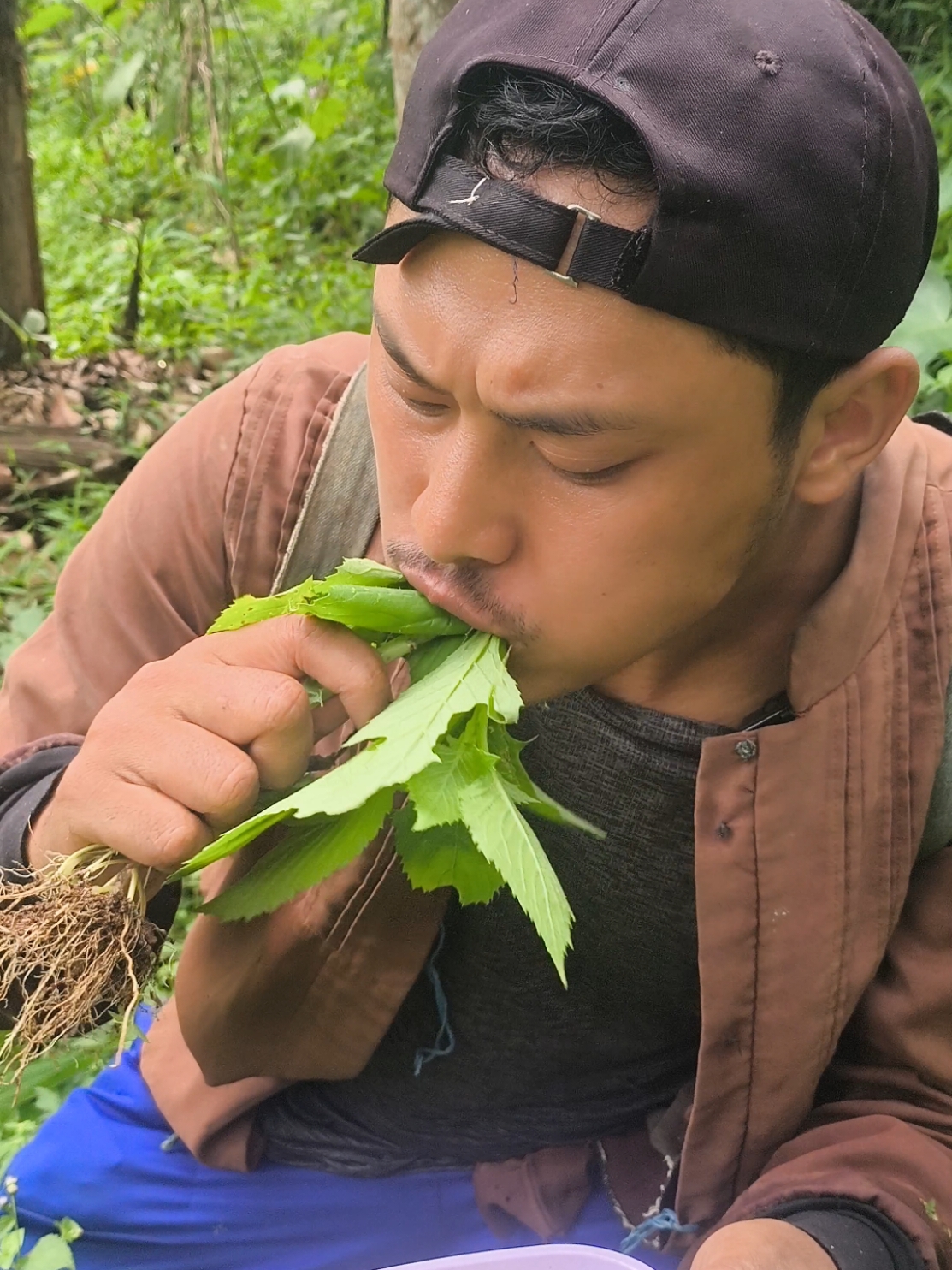 mukbang lalapan daun bolostrong #mukbanglalapandaunbolostrong #mukbanglalapan #mukbangdkebun #mukbangkelilingkebun #mukbangbrutal #mukbangexstrime #mukbanggrages #poryoupage #fyp 