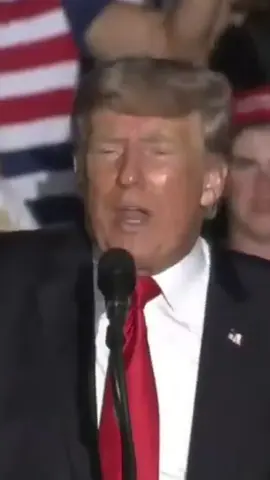 Trump song - Rabbit#trumpsong #trump2024 #maga