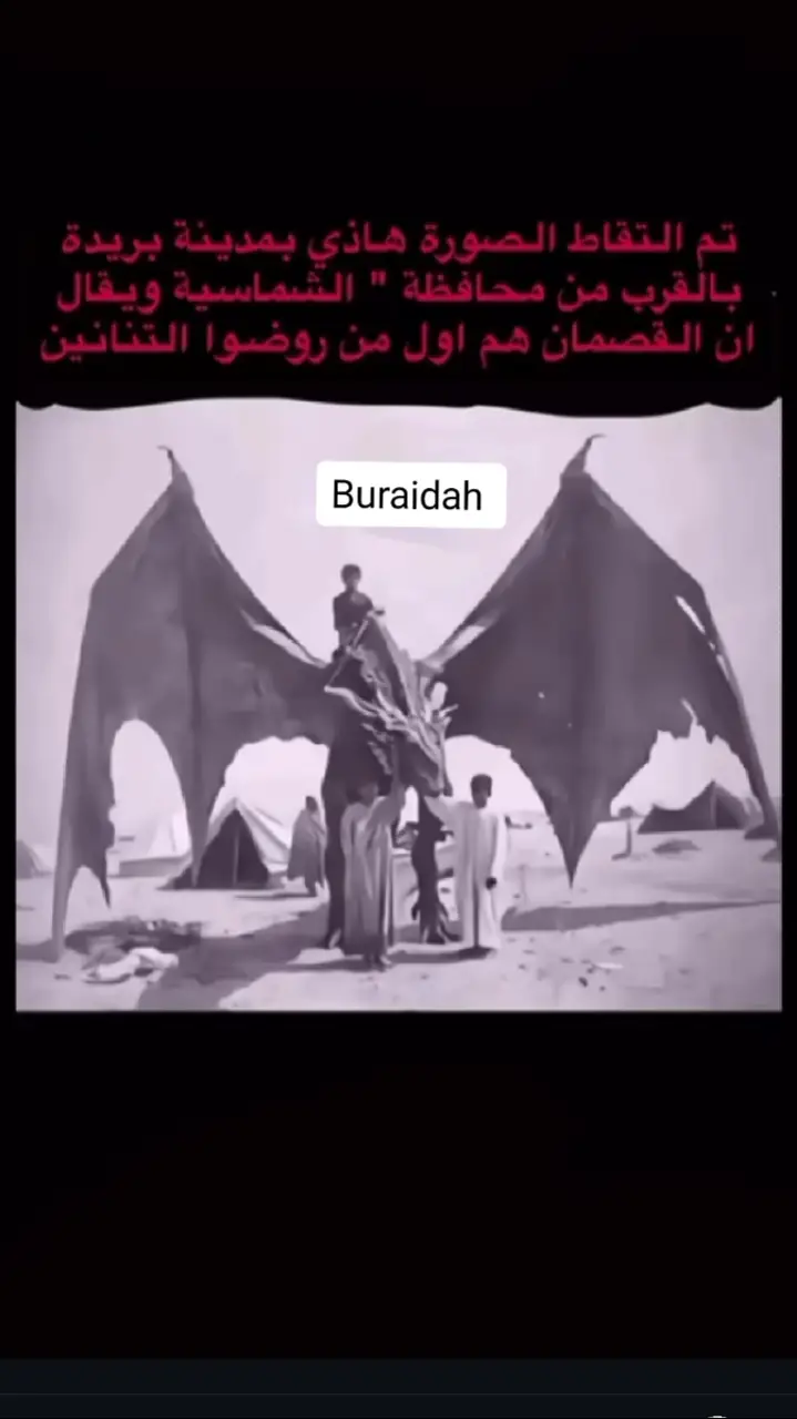 #القصيم