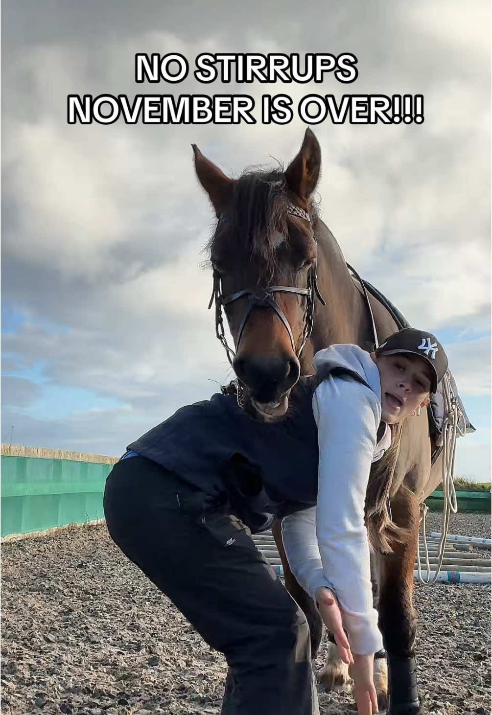 WAR IS OVER #horse #equine #equestrian #fyp #horsesoftiktok #horses 