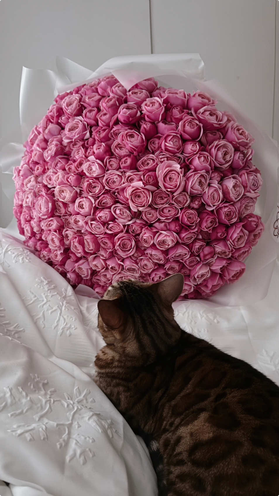 💗 #foru #loveyou #aesthetic #princesstreatment #man #flowers #roses #bouquet #mindset #bengal #cat #forgirls #girl #pink #flowergirl #london #londonlife #Love #loveyourself #fyp 