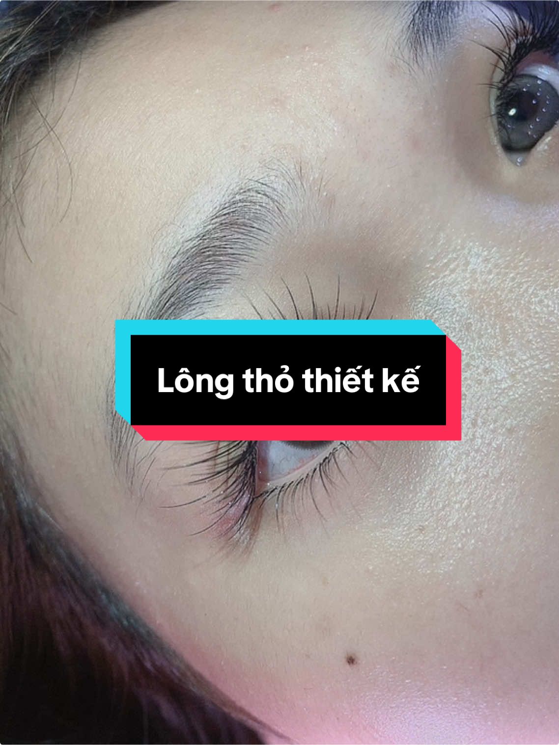 Ai mê bộ này khum ạ, 2lít thui nè #uốnmi #nốimi #milôngthâtj #milôngthỏ #miembe #midatang #thueyelash #xh