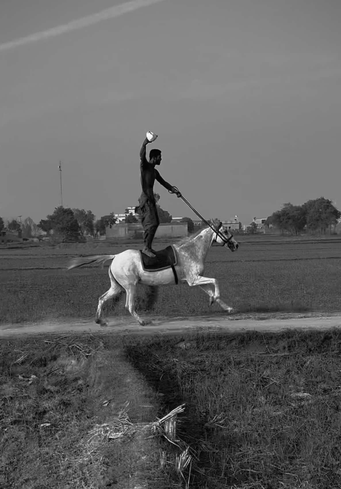 وچو صرف کلیجے لڑدن🙌🏻🔥#horselover #alhamdulillah❤️ #راۓ🌾🚜🐎🥷🏻 #گھوڑے_شوق_نواباں_دا🐴 #rayattaulhai #bhirishahrehman #juttlife🔥 #farmlife #foryoupageofficial #growmyaccount #unfreezemyacount #fyp 