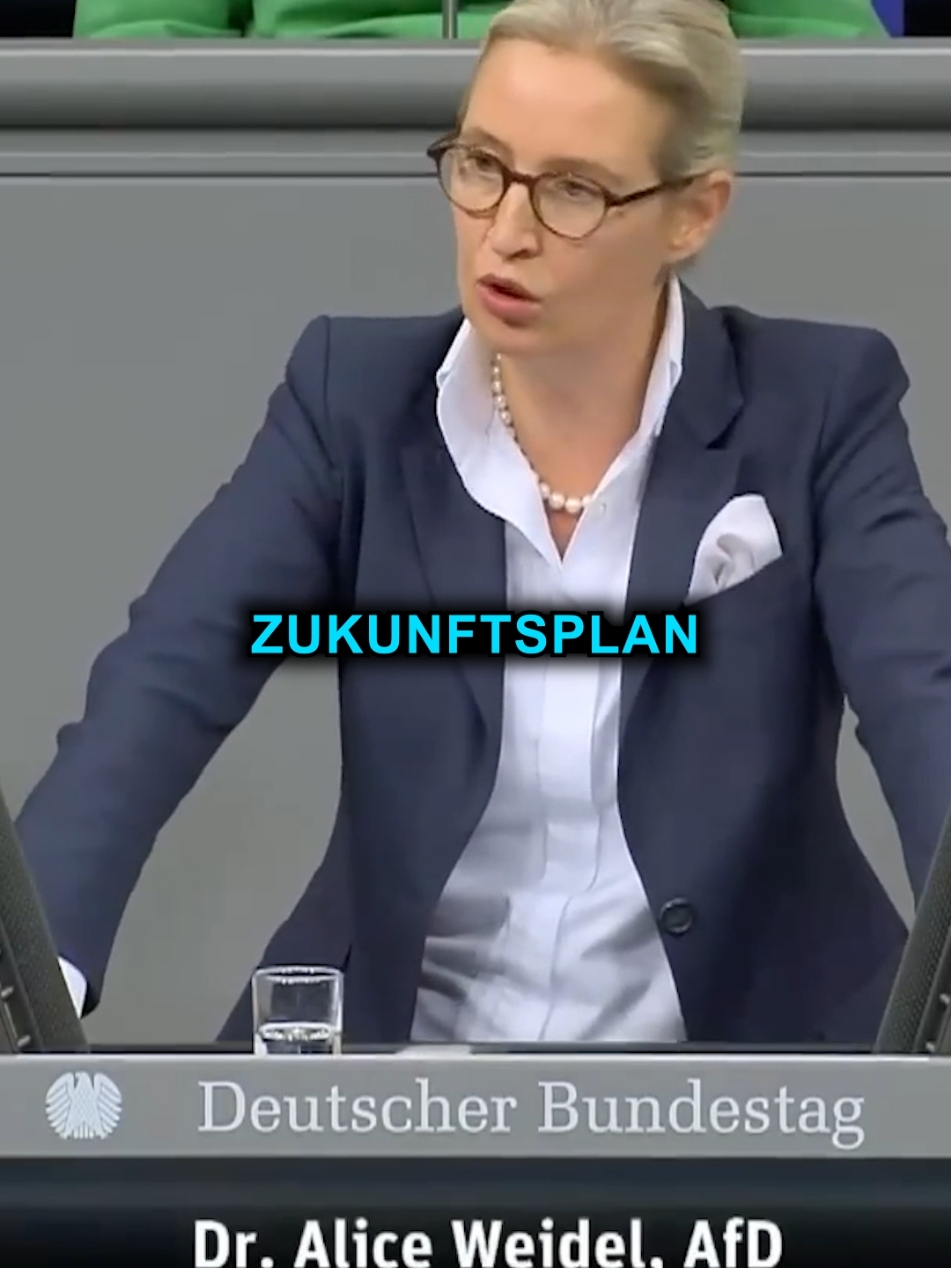 Der 100-Tage-Plan der AfD!