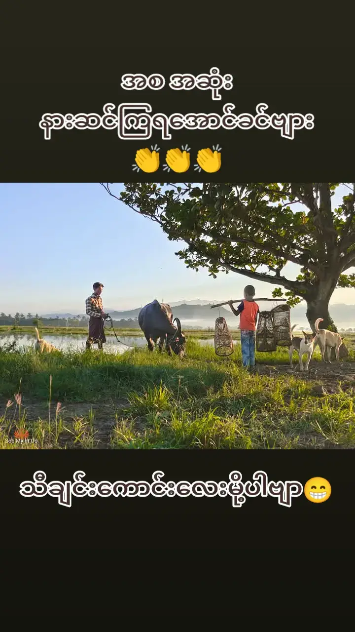 #ဘိုဘို#လူပီသပါစေ  #tiktokmyanmar #fypシ゚viral #Foryoupage❤❤ #မြန်မာသံစဥ်များကိုချစ်မြတ်နိုးသူ 