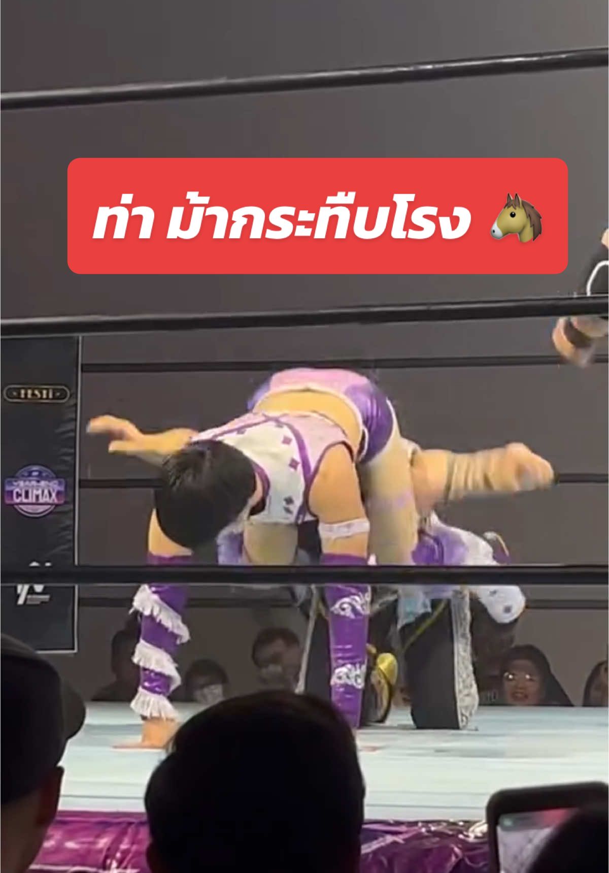 ใครพยศมากๆ เดียว Monomoth ปราบให้เอง 😆😆 #monomoth #wrestler #setupth #มวยปล้ำ #wrestling #tiktokมวยปล้ำ #viral 