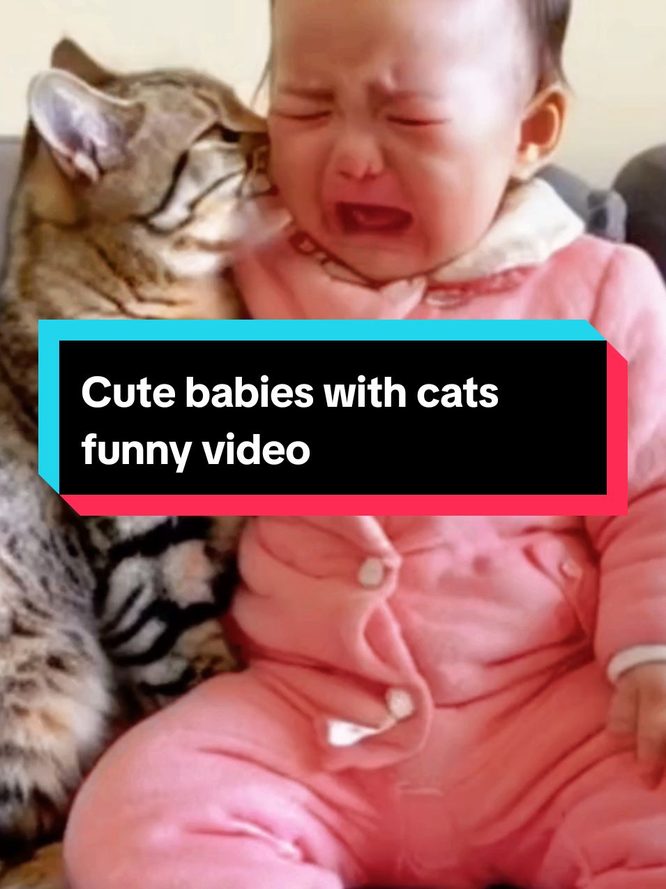 Cute babies with cats funny video @baby videos @baby videos @baby videos #baby #أطفال👶كيوت #abo_abdalrahman 