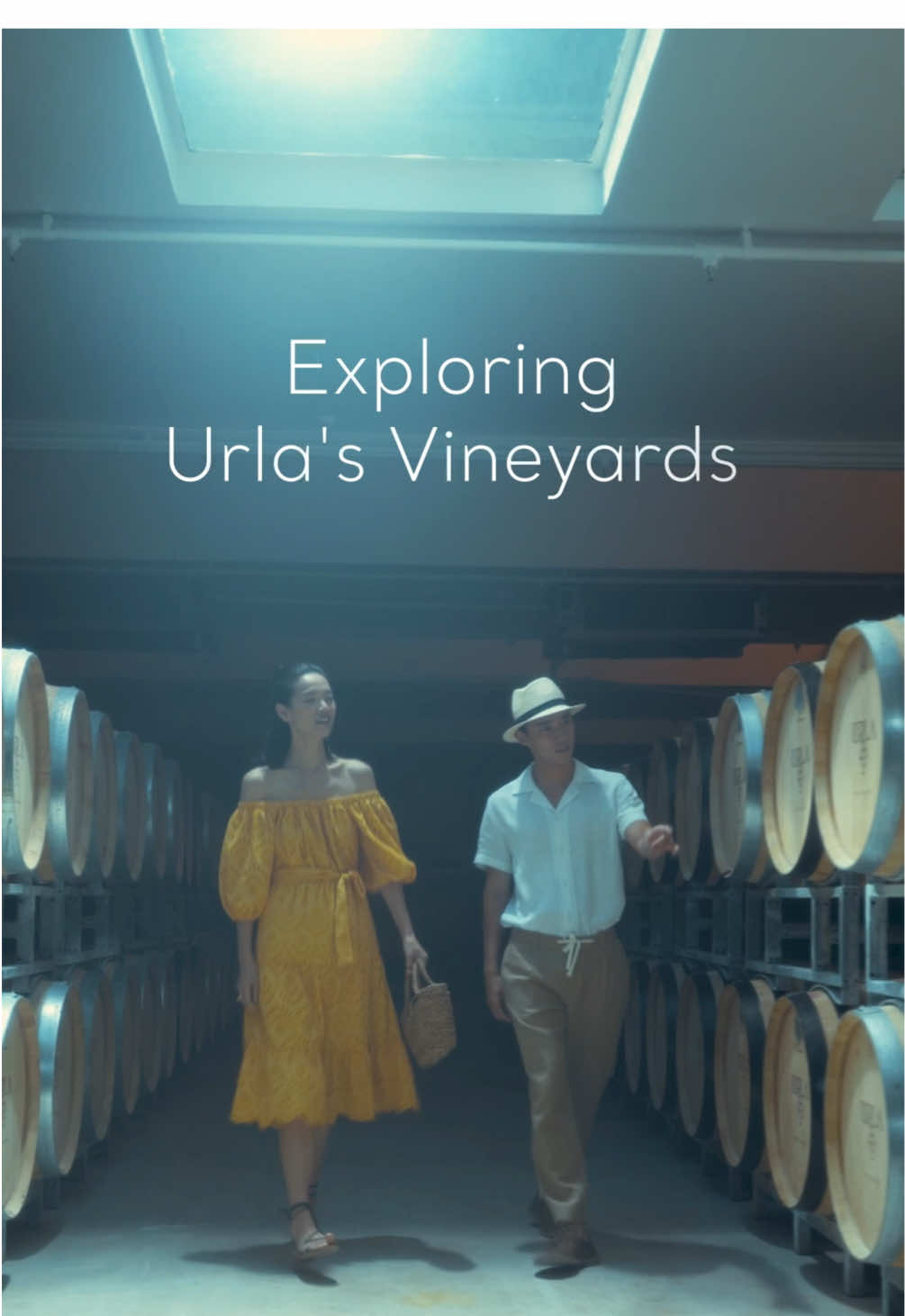 Exploring Urla's vineyards together is a delightful journey filled with the serene beauty of lush grapevines and the charm of the surrounding nature. #GoTürkiye #Türkiye #Goİzmir #İzmir #Urla #GoGastro #Gastronomy #Grapevines #Discover #Explore #tiktoktravel #Traveltok #Traveltiktok  #Travel #FYP 