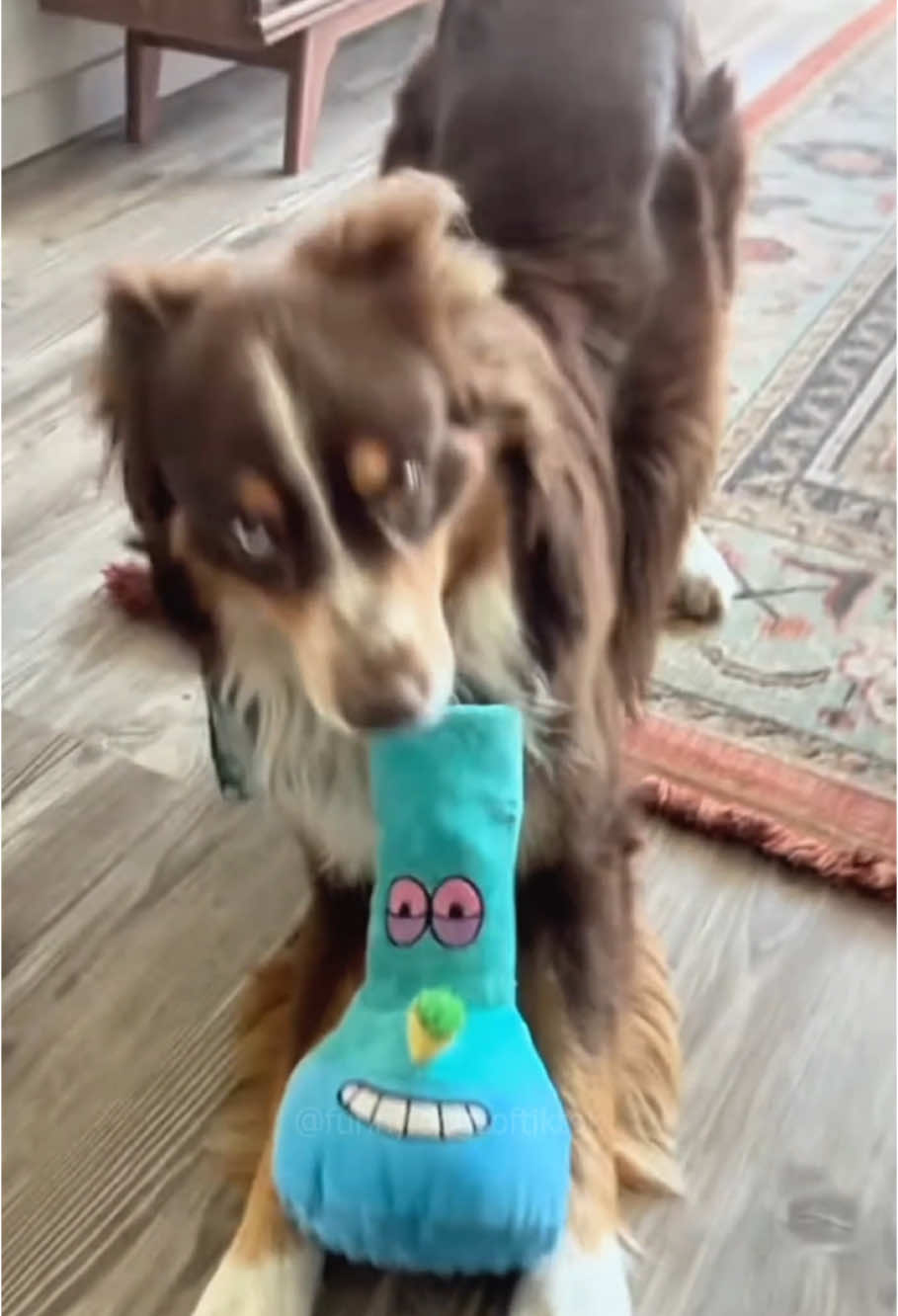 funny dogs Comp 🤣🐶 episode 413 #funny #pet #animals #funnyanimals #fyp #foryou #dog #dogsoftiktok #funnyvideos #🤣🤣🤣 #funnydog 