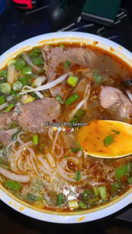 Spicy Pho is equavalent to a warm blanket 🥹🍜🌶️✨ #spicypho #phonoodles #noodlesoup #fyp #Foodie #foodies #FoodTok #foodtiktok #foodies #FoodLover #food #ramen #pho #saigonkitchen