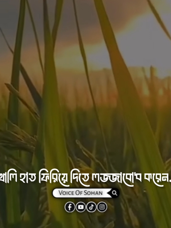 অনেক সুন্দর একটা মুনাজাত 🌼 #voiceofsohan #reels #trending #viralreels #shayari #voicevideo #foryoupage #foryou 