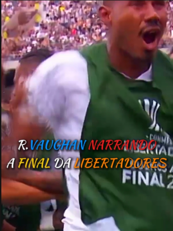 R.VAUGHAN NARRANDO A FINAL DA LIBERTADORES... #libertadores #espn #narracaoemocionante #footbal #fy #fy