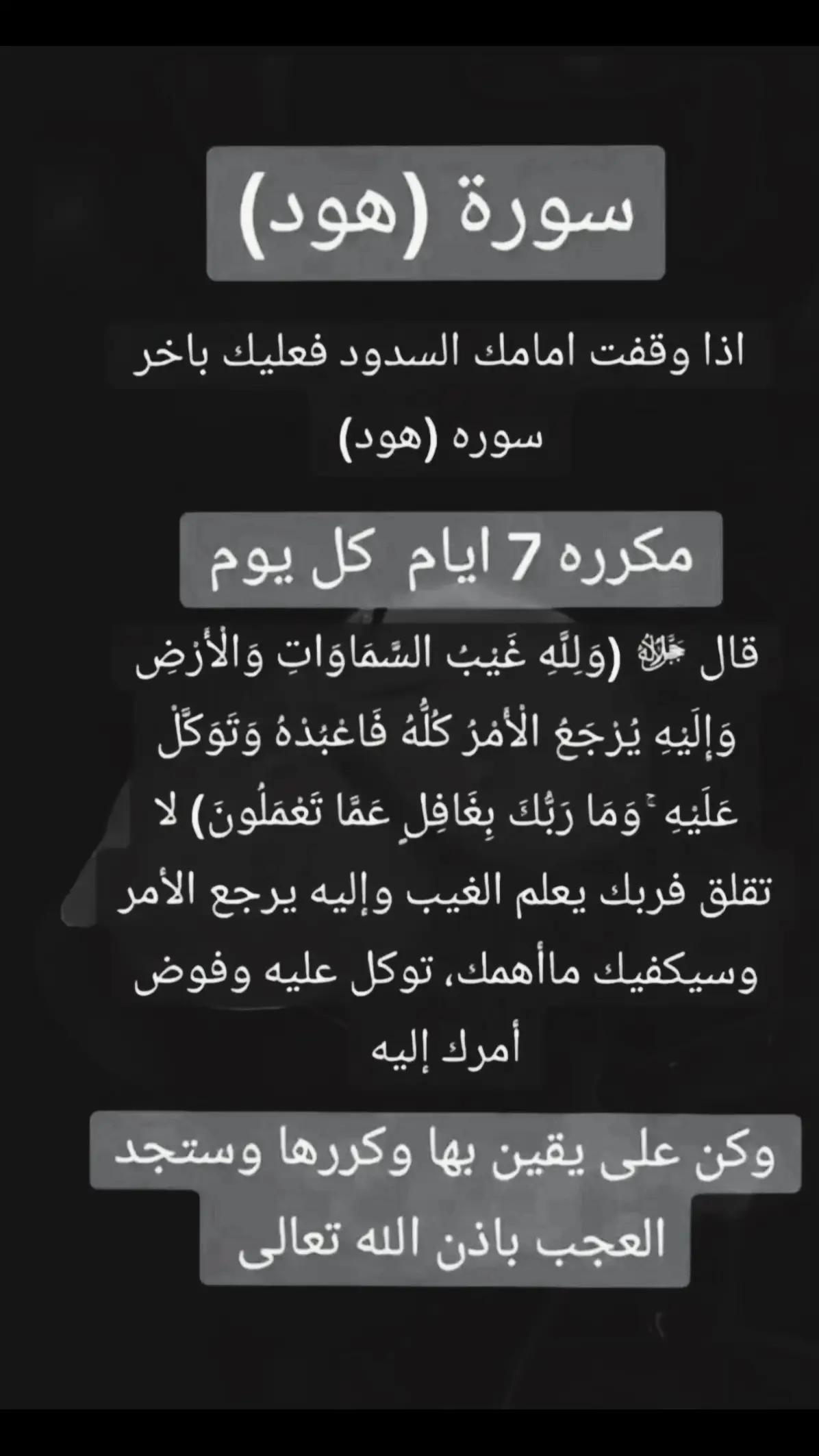 #سورة_هود #ربي_اني_مسني_الضر_وانت_ارحم_الراحمين #اللهم_شفاء_لا_يغادر_سقما✨ #اللهم_صلي_على_نبينا_محمد #لا_حول_ولا_قوة_الا_بالله #لا_اله_الا_الله_وحده_لاشريك_له #له_الملك_وله_الحمد_وهو_على_كل_شيء_قدير #الحمدلله_دائماً_وابداً 