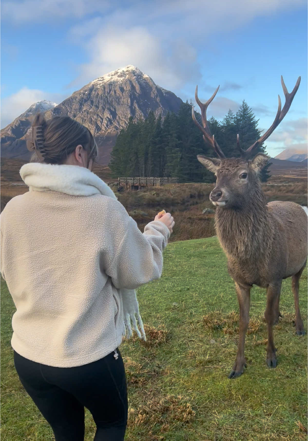 Surreal moment 🗻🦌  #glencoe #kingshousehotel #highlands 