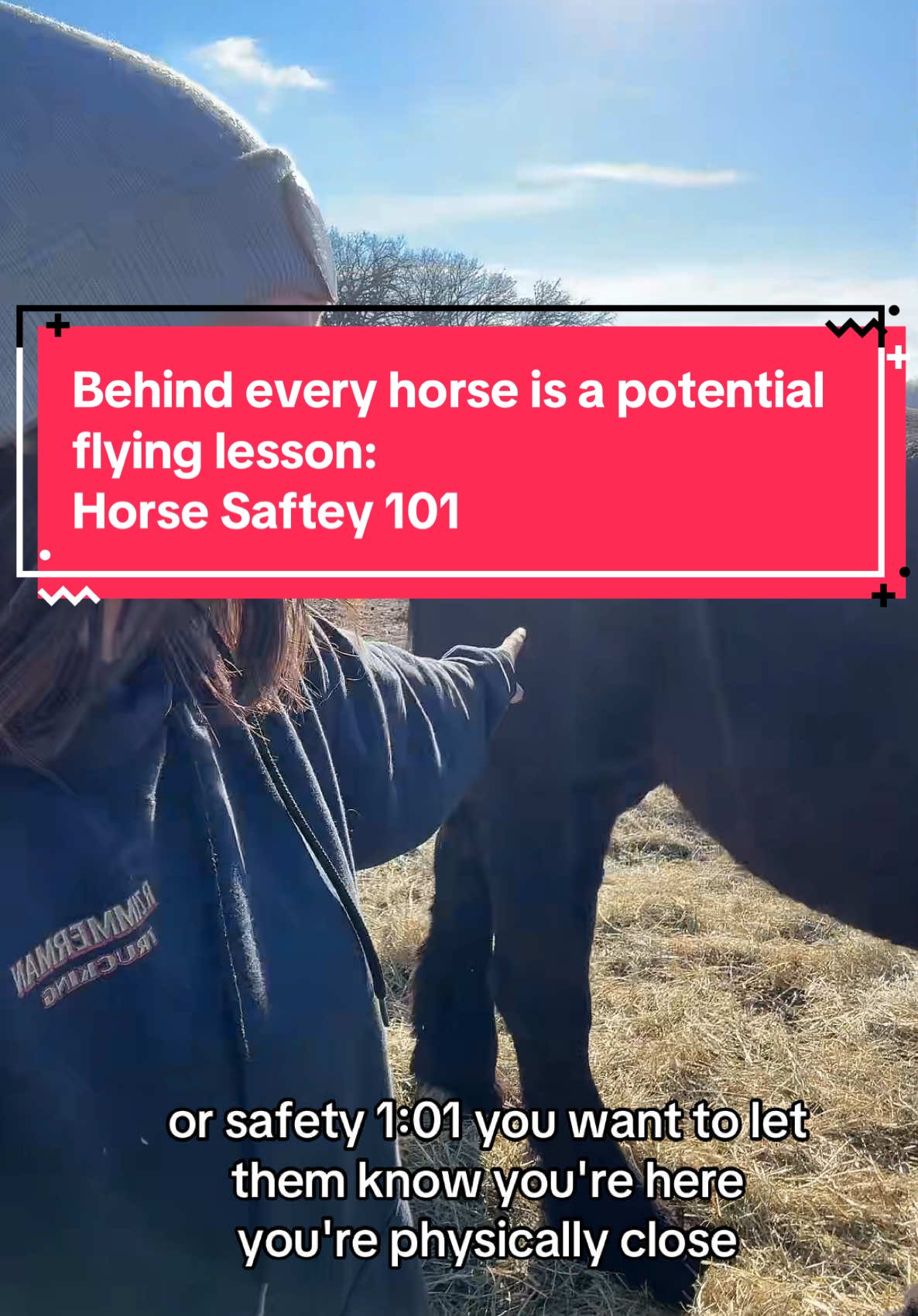 For real tho.  #horses #horsetok #horsesoftiktok #animals #farmanimals #animallover #animalrescue #animalsanctuary #safetyfirst 