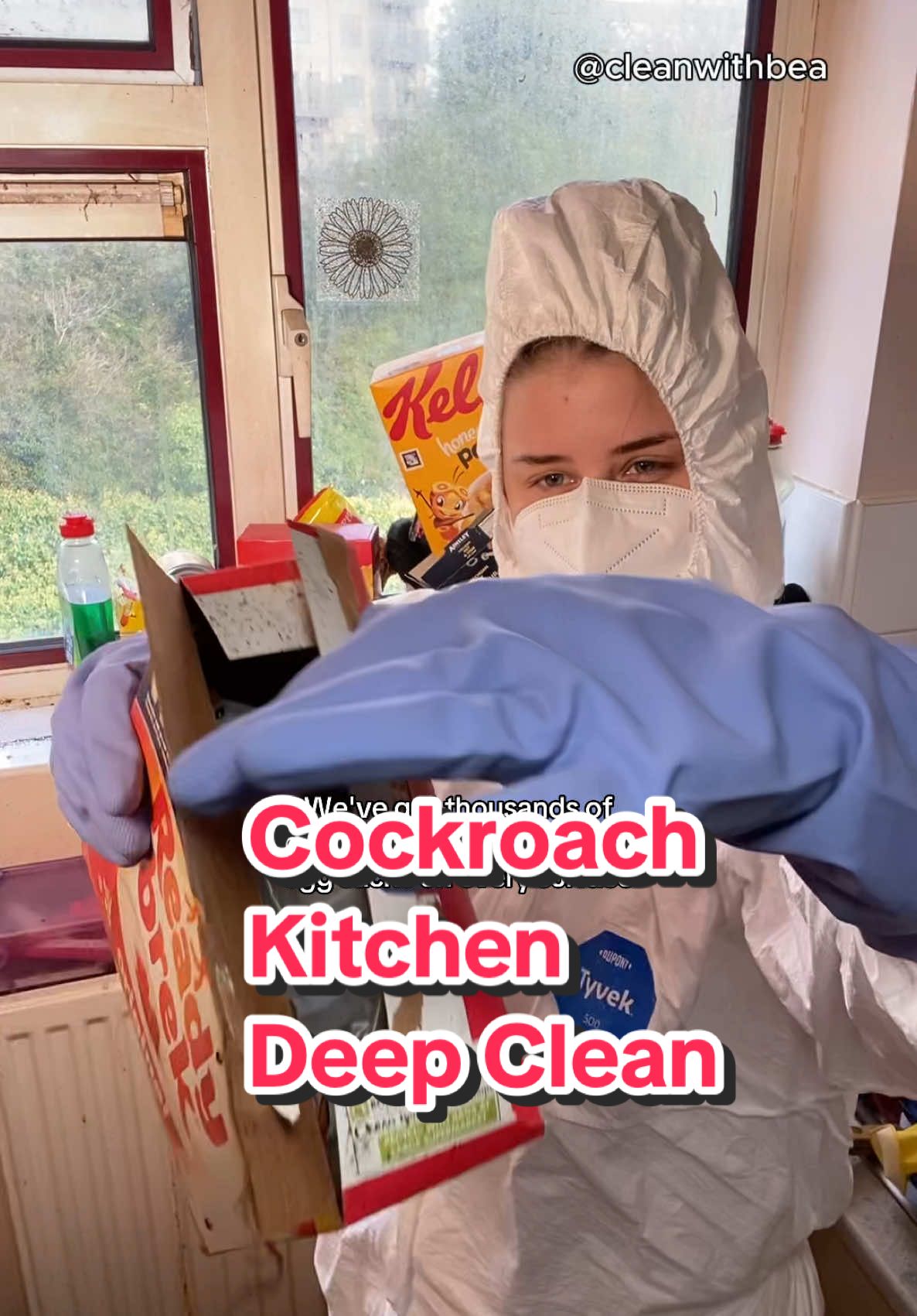 Cleaning a cockroach infestation in the Kitchen! #CleanTok #pestcontrol #cockroach #kitchencleaning #extremecleaning 