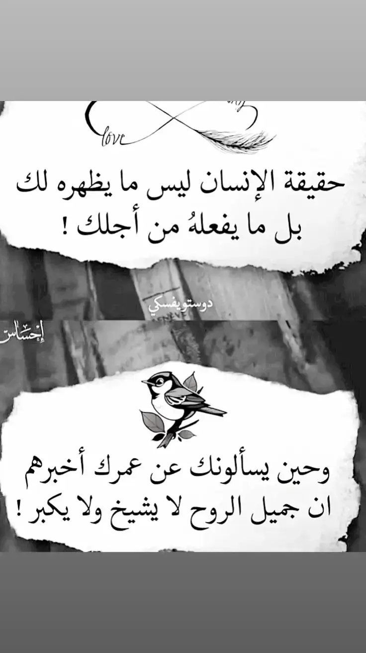 #عباراتكم_الفخمه📿📌 #منشن 