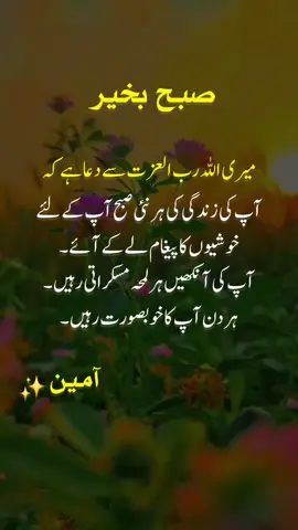 #foryoupage #standwithkashmir #dilkibaat #500k #islamic_video #illu #foryou #videoviral #fyp #1millionaudition #🥹 #💔 