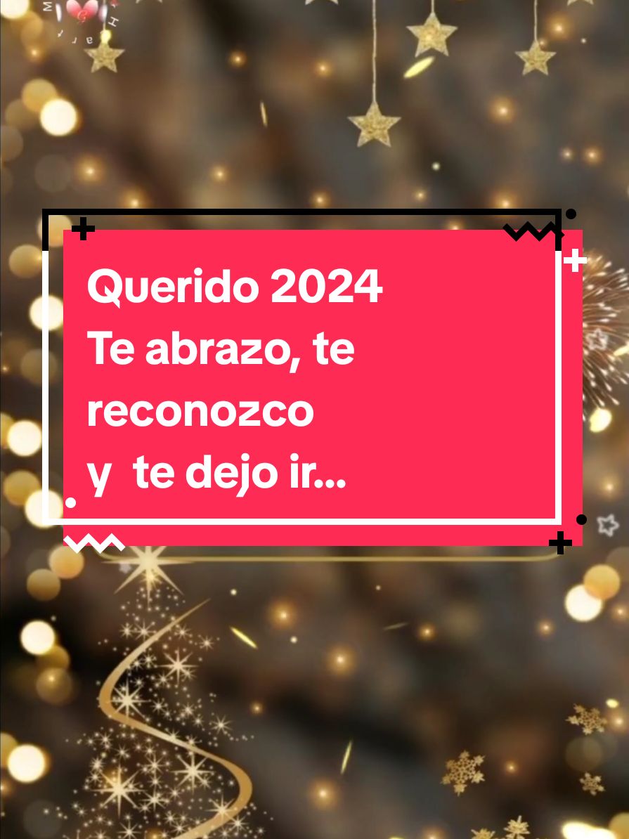 Querido 2024. Gracias. Gracias. Gracias 🙏🏼 por todos los aprendizajes vividos. Y por enseñarme con quién SI y con quién NO.