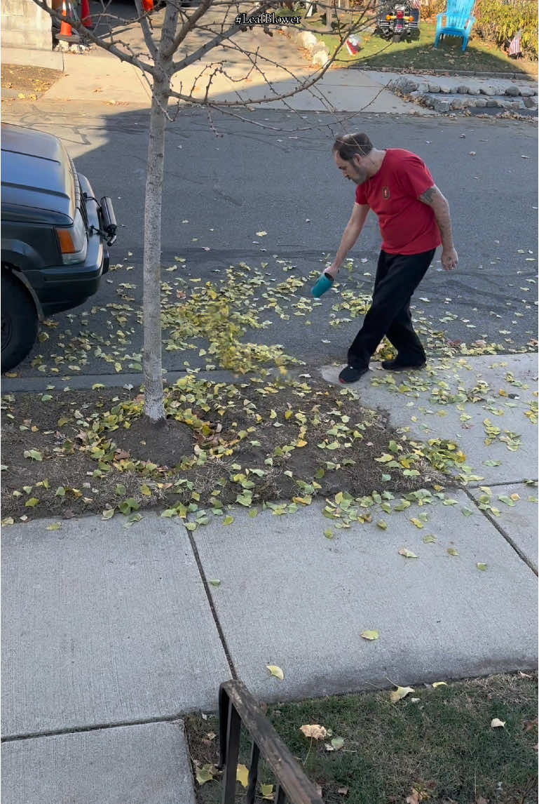 This turbo blower is awesome. It can be used to dry your car. It can be used to blow leaves or pretty much anything dry. It comes with two batteries and it’s totally portable and electric! ##leafblowers##leafblower##lawncare ##lawnservice ##landscaper ##lawncare##landscapers##landscaping##leaf ##gardening##spotlightfinds##TikTokShopHolidayHaul