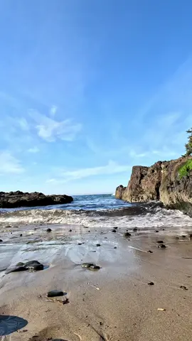 I found a perfect hidden beach to let time pass 🙌 #ocean #sea #beach #oregon #pnw #oregoncoast #explore #adventure #cinematic