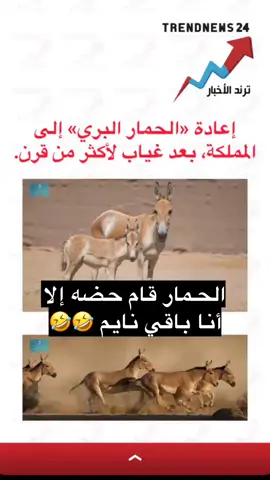 نهق 🤣🤣#الشعب_الصيني_ماله_حل😂😂 #ترند 