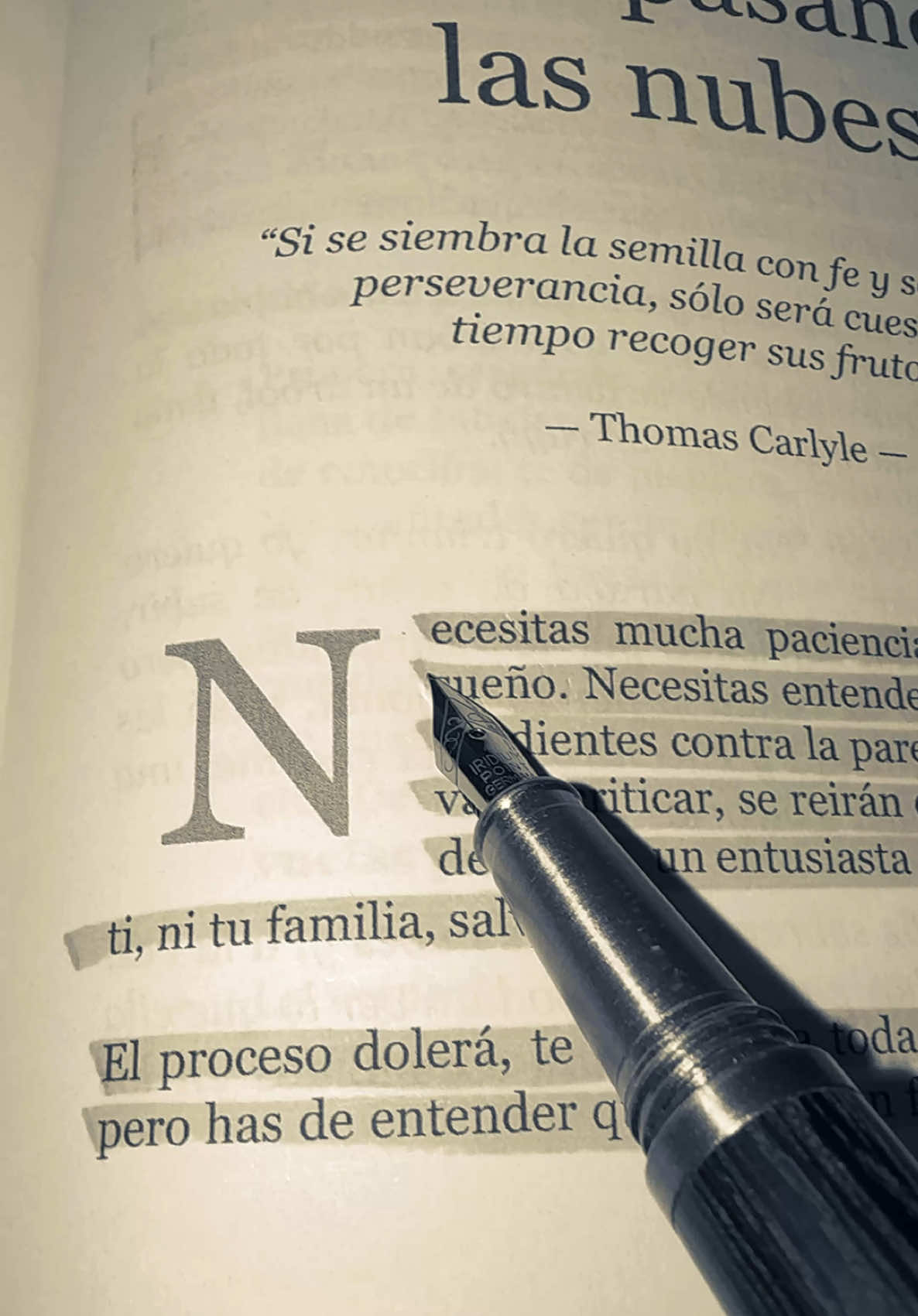 Estás hecho de plactico o de diamante?💎🧠📖 #desarrollopersonal #motivacionpersonal #inspiracionsinlimites #autoestimaatodonivel #riquezamental #psicologia #mente #palabrassabias #frasesmotivadoras #libros 