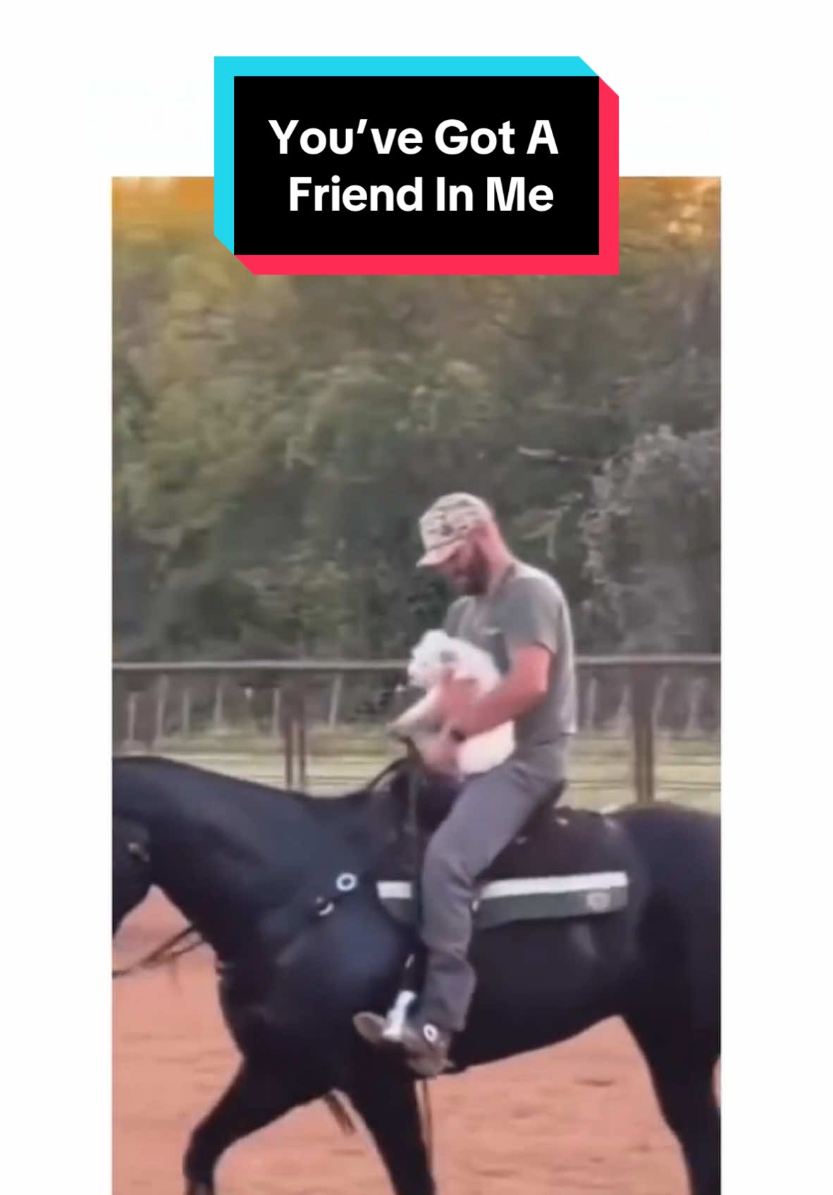 Dogs can be best friends too 🐶 #youvegotafriendinme #dog #dogsoftiktok #cutevideo 