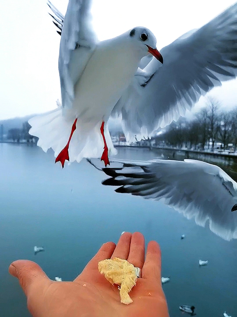 Senin olmadığın her yer gurbet bana... 🧩🌹@⚜️ 𝑵𝒂𝒛𝒂𝒓 ⚜️ 