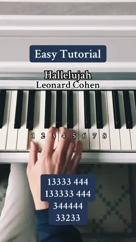 A heartwarming song 💫❤️ #hallelujah #piano #tutorial 