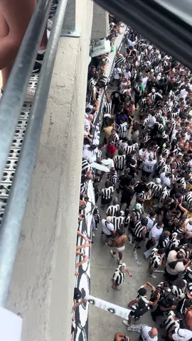 #botafogolibertadores #torcedores #botafogo 