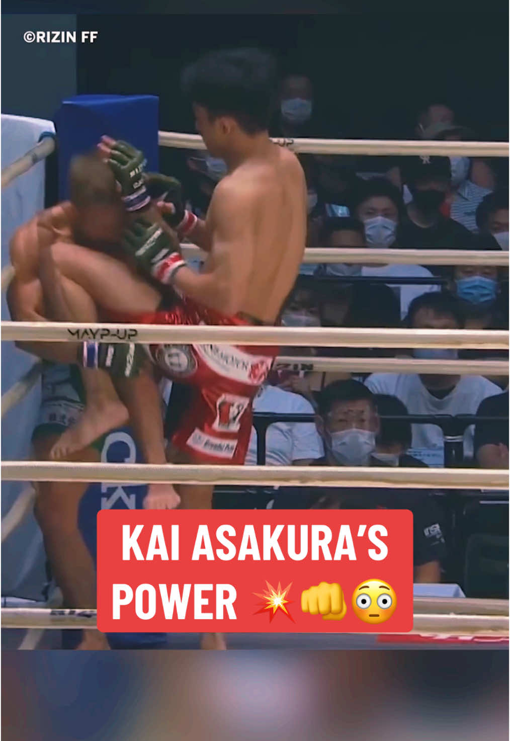 #UFC newcomer #KaiAsakura has BIG K.O. power 💥😤 #UFC310 #MMA #combatsports (via @RIZIN FF OFFICIAL) #Japan #boxing #wrestling 