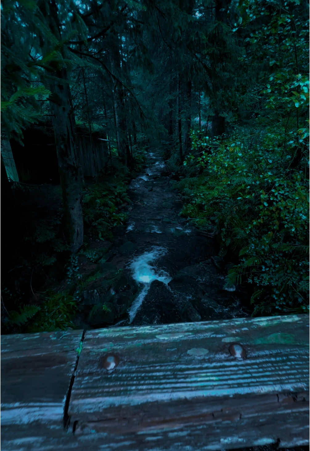 Rainy Days🩶#nature #calm #darkaesthetic #naturephotography #foryou #aesthetic #relax