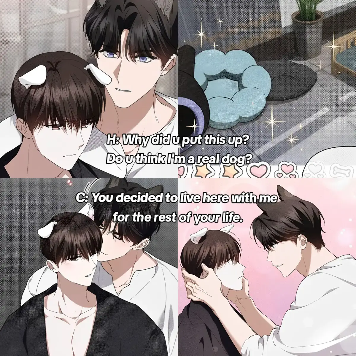 Ch.22 Please stay with Chiyoung my puppy Heeseong. #강아지는건드리지마라 #dontmesswiththepuppy #dontmesswiththepooch #pawsandclaws #yoonchiyoung #heesung #bl #blmanhwa #blmanhwarecommendation #manhwabl #manhwarecommendation 