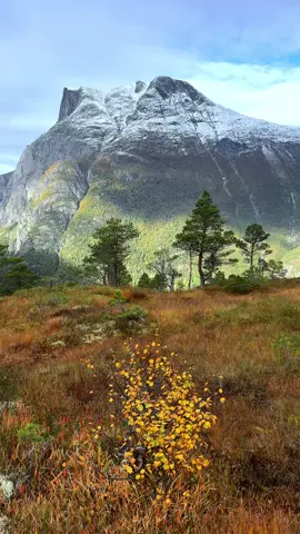 A wilderness area with a snow-covered mountain range evokes a scene of pristine, rugged beauty. #autumn #nature #wilderness #mountain #norway #norge #positivevibes #mountainview #foruyou #Hiking #hikingadventures #Outdoors 