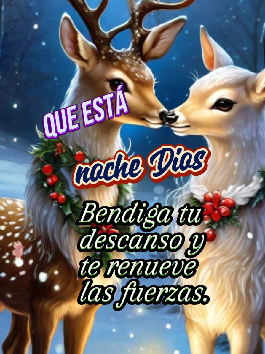 Buenas noches que tengas un descanso tranquilo #parati #viral #buenasnoches #feliznoche #descansa #diciembre 