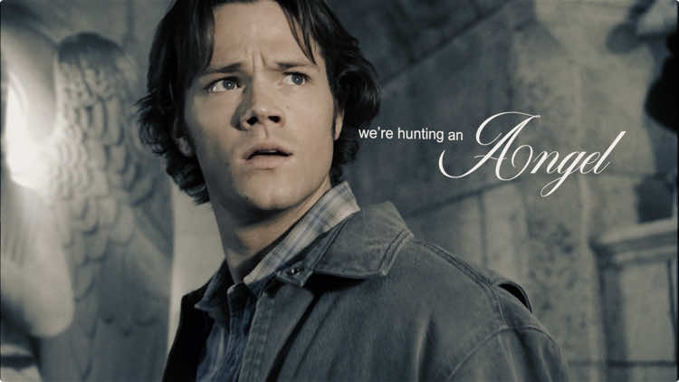 [FW] “maybe this is god’s will” thank you 7.3k this feels unreal!! i appreciate all your support and comments, genuinely 🫶 style ib: @Uhh..........  ♫: MALICE MIZER - Le ciel #samgirlboy #supernatural #supernaturaledit #samwinchester #samwinchesteredit #supernatural2x13 #housesoftheholy #samreligiousguilt #religiousguiltsam #spn #foryou #fyp #edits 