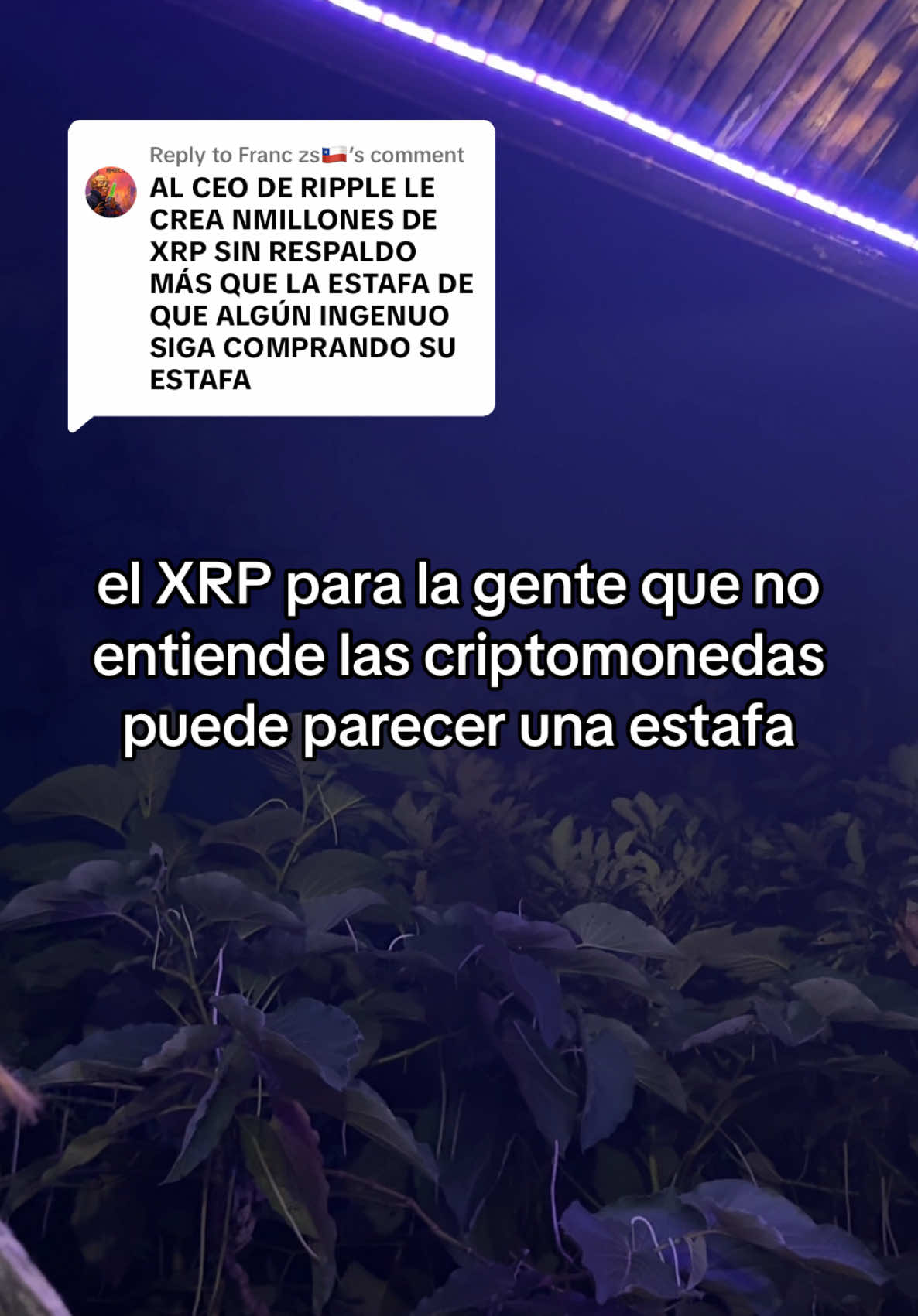 Replying to @Franc zs🇨🇱  Las estafas son las personas que les dicen que paguen para saber invertir #xrp 