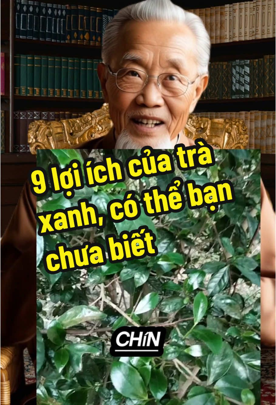 9 lợi ích của trà xanh, có thể bạn chưa biết #songtruongtho 