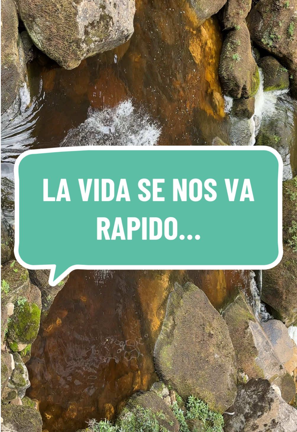 Hay que empezar a disfrutar menos y a disfrutar más porque la vida va rapido… 🥾🏕️🌿💦 📍Catarata Chinata, San Carlos, Bongará, Amazonas. #GoYelsin #CatarataChinata #viajes #naturaleza #cascadas #trekking #trekkingperu #chachapoyas 