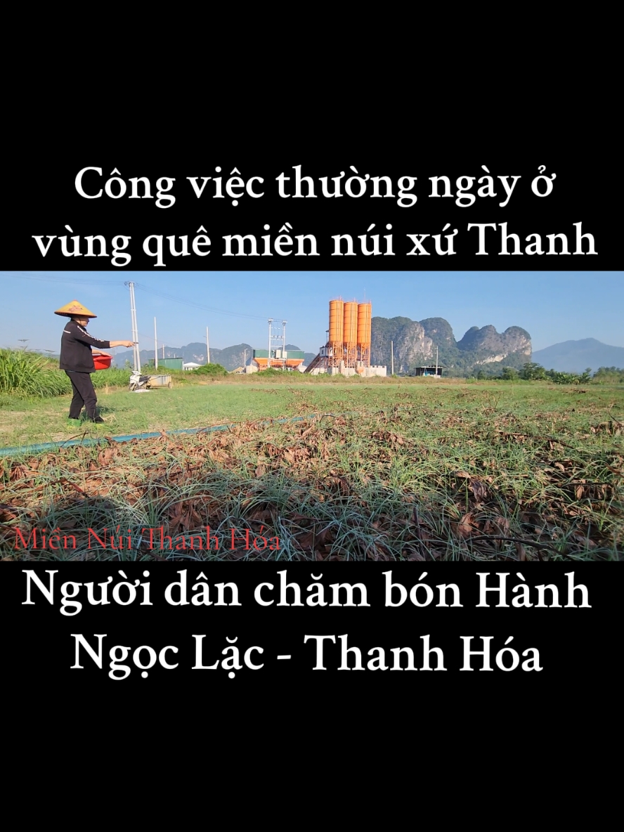 Cuộc sống thường ngày ở miền núi xứ Thanh. #thanhhoa #vietnamtoiyeu #miennuithanhhoa #ngoclac #nongnghiep #nongdan #vungcao #cuocsong #cuocsongthuongngay 