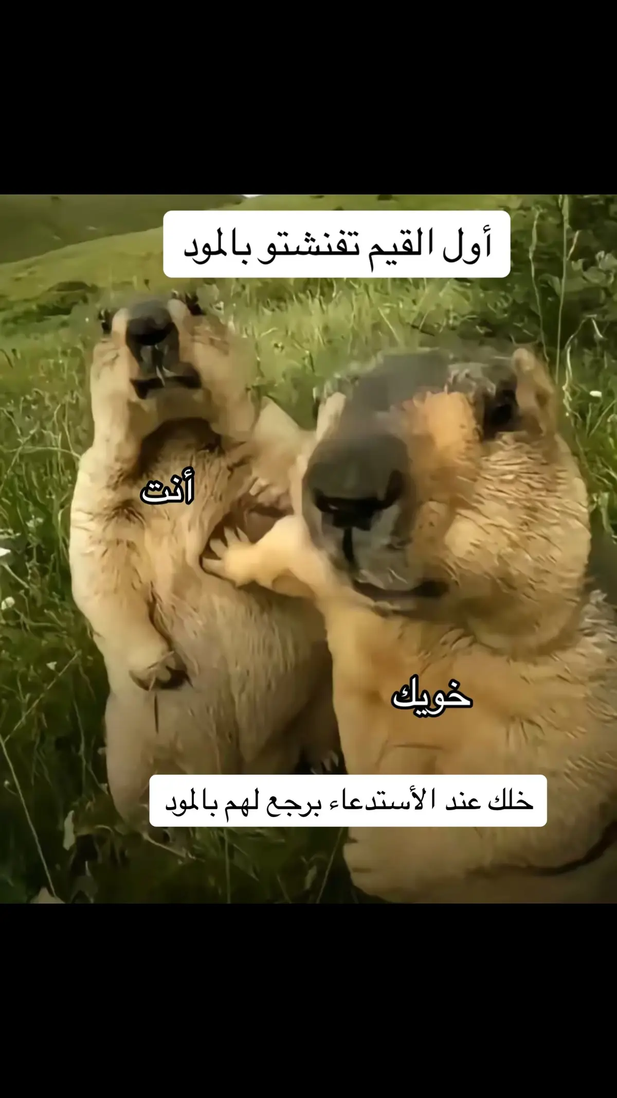 #ببجي #ببجي_موبايل #ببجي_السعودية #fypシ #fyp #foryou #foryoupage #viral #اكسبلورexplore #اكسبلور