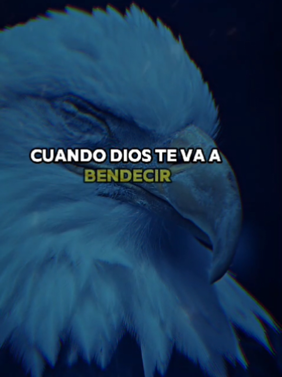 Cuando Dios te va a bendecir🙏 #yo #creo #Dios #reflexiondeldia #oracionespoderosas #bendiciones 