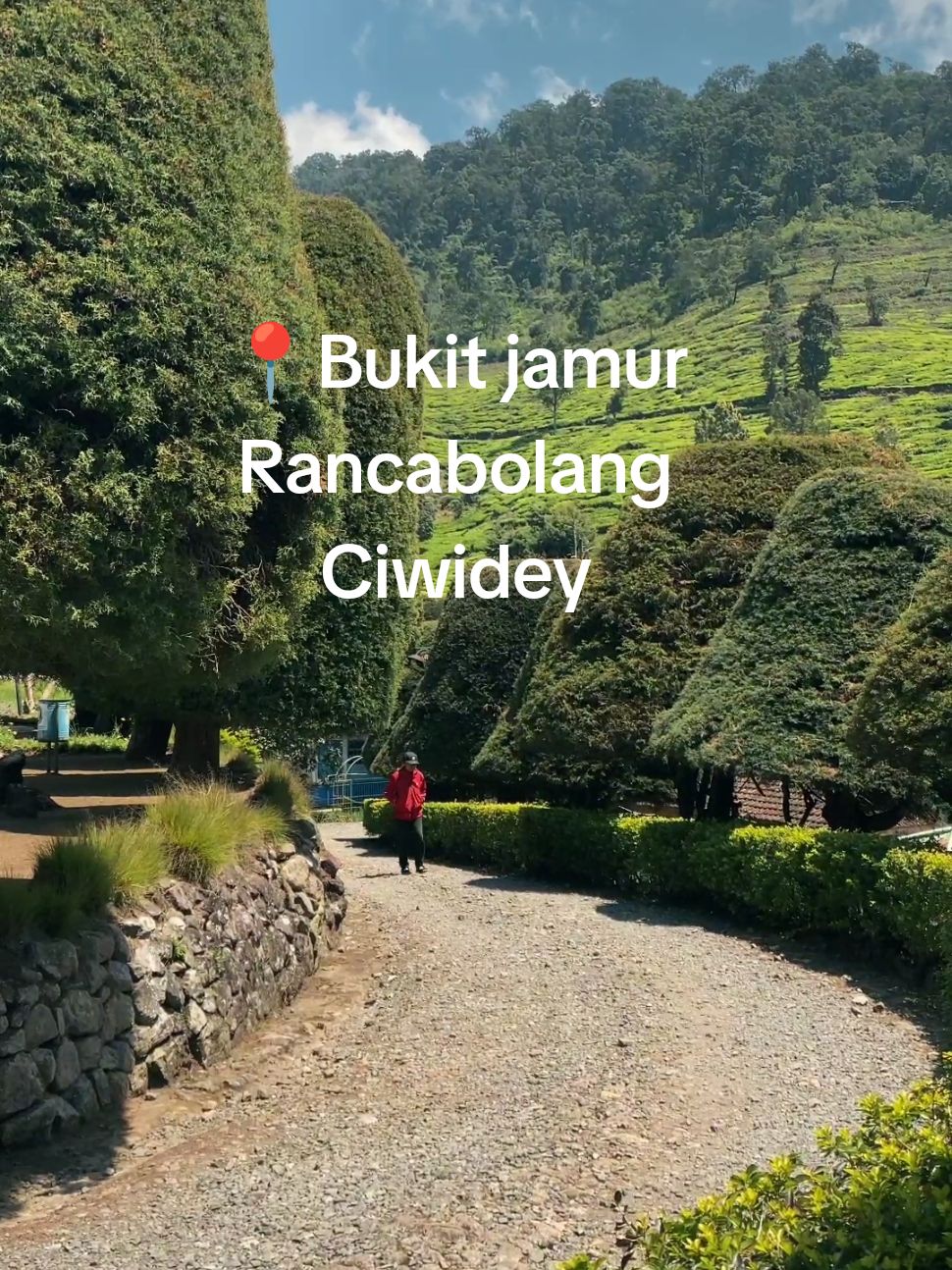 vibes nya seperti lagi di dalam FTV 🤩  #ciwidey #bukitjamurrancabolang #ciwideybandung #pemandangan #fyp 