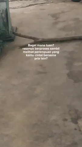 #CapCut 