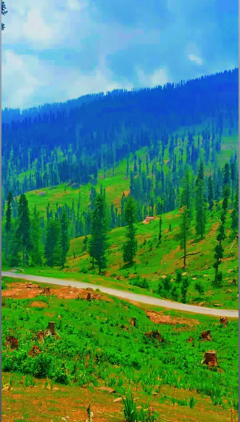 #نیچرل_بیوٹی_beautisworld0 #unfrezzmyaccount #اپناکشمیر❤️❤️✌️ #apnakashmirofficial #leepavalley #kashmirigirls #kashmirikurii2🥀❣️😍 #kashmirigroup 