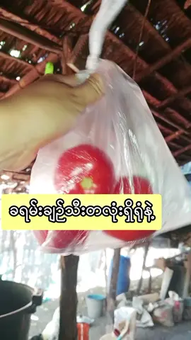 ခရမ်းချဉ်သီးတလုံးရှိရုံနဲ့ရာသက်ပန်နေလောင်ရာသက်သာချင်လား#sharing #နေလောင်ရာသက်သာချင်သူများ #အသားမဲဘဝကိုစွန့်လွတ်လိုက်ပါ #tiktokuni #mayzin1994 #လမိုင်းမြို့ 