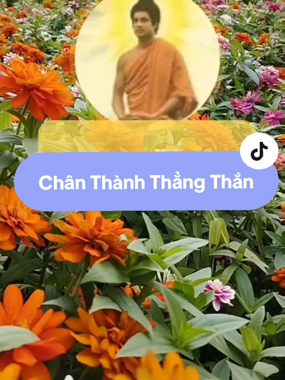 chân thành thẳng thắn #nammoadidaphat #chanhniem #phatphap #phatphapnhiemmau #thongdiepvutru #thongdiepcuocsong 